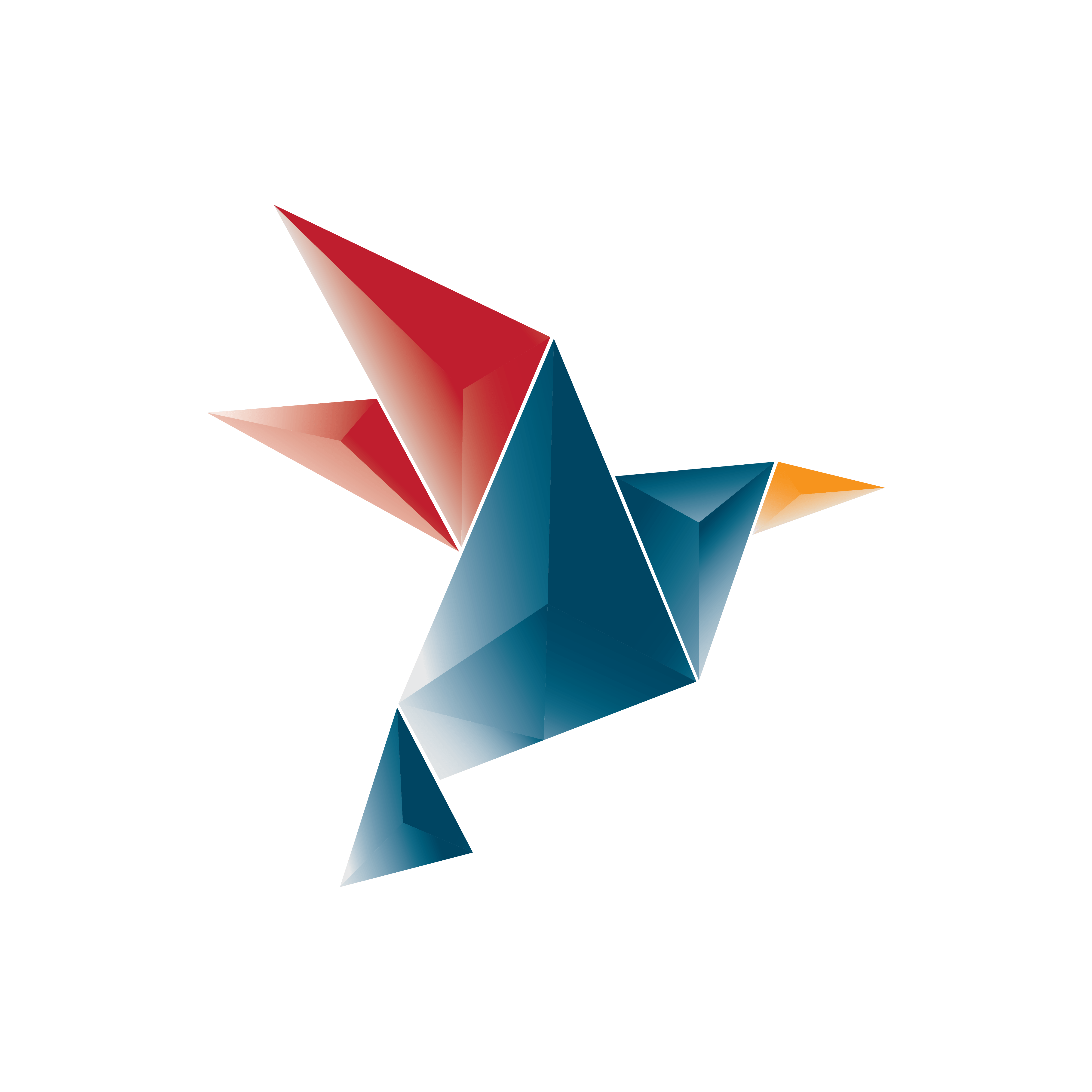 DM Design